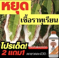 G6MAX 2 แถม 1 ปกป้องพืช เพิ่มภูมิคุ้มกันให้พืช เพิ่มความแข็งแรงให้พืช ป้องกันและกำจัดเชื้อรา