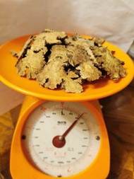 川芎 100g $38