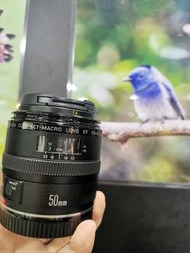 Canon  EF 50mm F2.5 macro 微距