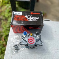 Brembo 2P 2-piston caliper logoBIG
