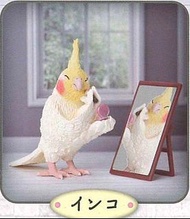 朝隈俊男 梳妝照鏡的動物們 轉蛋 扭蛋 鸚鵡 鳥 鏡子