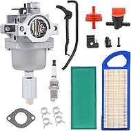 Amazeful 799727 Carburetor for B&S 698620 791886 495935 690194 498061 499153 496796 287707 287777 28