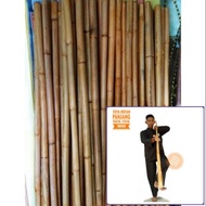 Toya Rattan Martial Arts Stick Wushu Muangthai