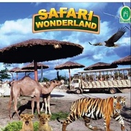A'FAMOSA SAFARI WONDERLAND
