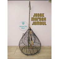 JEBAK MERBAH JAMBUL / jebak burung