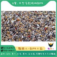 【鸚國人-飼料工廠】600g小包裝~4款中型鸚鵡飼料｜G餐有殼核桃｜H餐無殼核桃｜J餐無殼經濟餐｜K餐有殼經濟餐