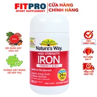 Nature’s Way High Strength Iron – Organic Iron Pills to Support Anemia and Increase Energy (30 Pills