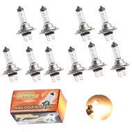 H7 55w 12v 10pcs Fog Halogen Bulb 4300k Car Halogen Bulb Source Fog Lamp Headlights Bulbs 4300k H7 Headlights For Car