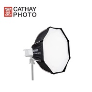 Aputure amaran Light Dome Mini SE