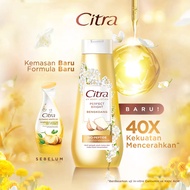 Citra UV Body Lotion 40X Brightening Perfect Bright Bengkoang - Brightening