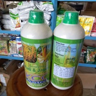 IMP KCC ASTRO PADI DAN JAGUNG 1 LITER / KCC PADI JAGUNG 1LITER