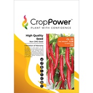 Benih Cili CL22 Hot Volcano F1 Hybrid Chili Crop Power - ( 10g ) 👍 💯