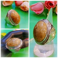 Stainless Steel Ring with Natural Agate Stone, rarely injumpai, Lucky Stone; Fossil Coral Stone (Cor