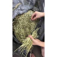 Timothy Chaff premium hay short powder