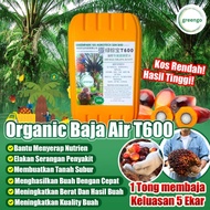 Greengo Air Baja T600 Untuk Pokok Kelapa Sawit 20L 绿棕宝油棕肥水