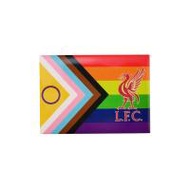 LFC Pride S23BD11 แม็กเน็ต LF068AC957EDTH