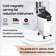 【Local delivery】rf body shaping machine manufacturer ems rf body shaping machine 12reduce manufactur