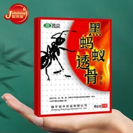 Ant Stickers Wanzhong Ant Stickers Black Ant Bone Stickers Big Ant Scorpion Poison Chasing Wind Bone