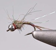 Region Fishing Tungsten Bead Rainbow Warrior Midge Nymph Fly | 12 Flies | Mustad Signature Hooks