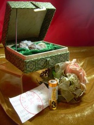 古生物化石.貝殼