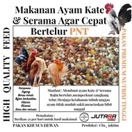 Makanan Ayam KateSerama Agar Cepat BertelurPakan Bertelur