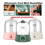 Ultrasonic Cool Mist Humidifier, Face Steamer Facial Steam Inhaler, Cordless USB