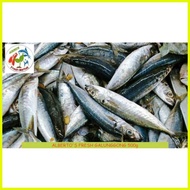 ☜  ◵ ◱ FRESH SEAFOODS GALUNGGONG