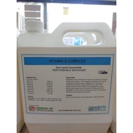 VITAMIN B-COMPLEX | 1 GALLON (LIQUID)