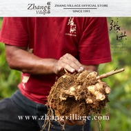 500克 高山文冬姜 500G FRESH BENTONG HIGHLAND GINGER
