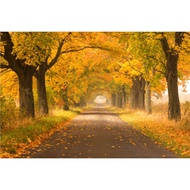 3d Landscape Painting Wallpaper PC01 kt120x180