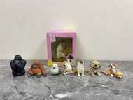 動物 狗 猩猩 鳥 扭蛋 盲盒