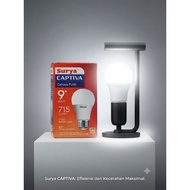 Hannoch 9 Watt Solar Lamp