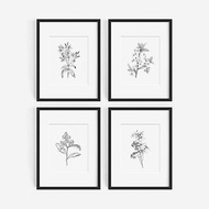 botanical prints,4張 可客製化 海報 掛畫 臥室 浴室 餐廳