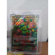 Maractus - 160/159 - Illustration Rare