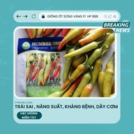 Hạt Giống Ớt Sừng Vàng F1 number one hp 888