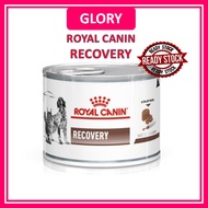 Royal Canin Recovery Wet Food For Cat Dog Can