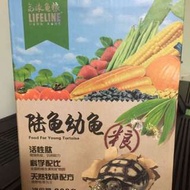 幼陸龜糧