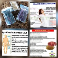 rumpai laut asli dr Semporna sabah