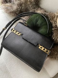 Delvaux tempete蜥蜴