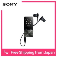 Sony Walkman S Series 16GB NW-S315: model Bluetooth-enabled up to 52 hours of continuous playback Earphones 2017 black NW-S315 B