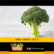 FYT GROCERIES - VEGETABLES - BROCCOLI 西兰花
