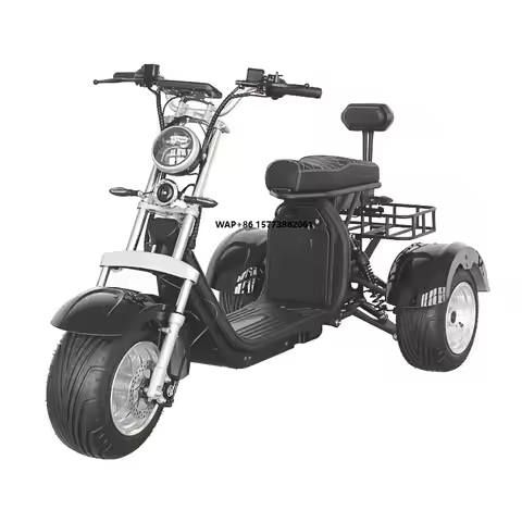 EEC Approved 3 Wheel Electric Citycoco Fat Tire Scooter for Sale