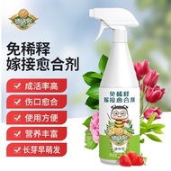 Dewordo Fertilizer Plant Grafting Wound Healing Agent Garden Fruit Tree Bonsai Seedling Tree Rose Cactus Flower Pruning