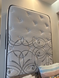 Sealy single mattress