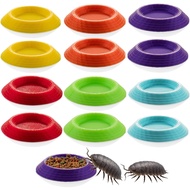 Isopods Feeder Bowls Tiny Feeding Dish