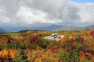 【限時限量名古屋】楓賞昇龍道、神鄉上高地、國寶松本城、黑部立山壯遊5日