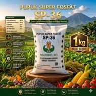 TSP SP-36 Fertilizer 1 Kg Packaging. SP-36 Fertilizer 1 Kg Packaging