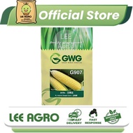 LECKAT G907 ARIFA SEEDS/JAGUNG GWG BENIH/SWEET CORN/G907 ARIFA 甜玉米种子