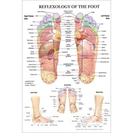 Reflexology Foot Acupuncture Points Chart Anatomy Art Film Print canvas Poster Home Wall Decor
