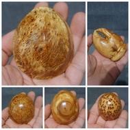 [Jenama Yabai Ping An] Yabai Taihang kayu burl berusia tua dengan ukiran gentian emas hitam yang ber